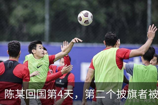 陈某回国第4天，第二个披旗者被揪了出来，现形后想销号跑路