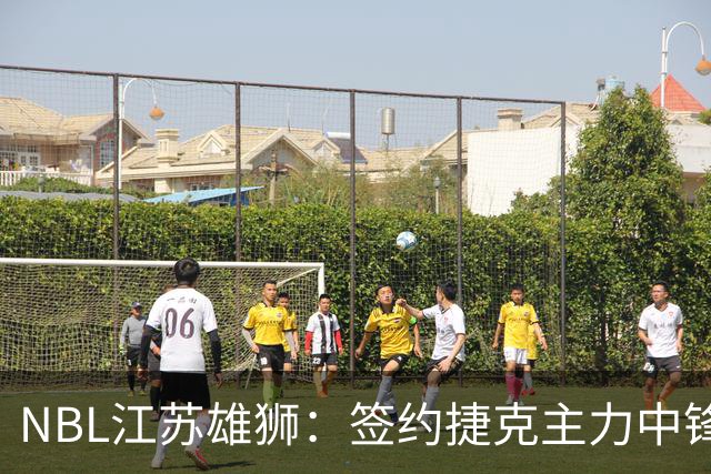 NBL江苏雄狮：签约捷克主力中锋昂德雷-巴尔文
